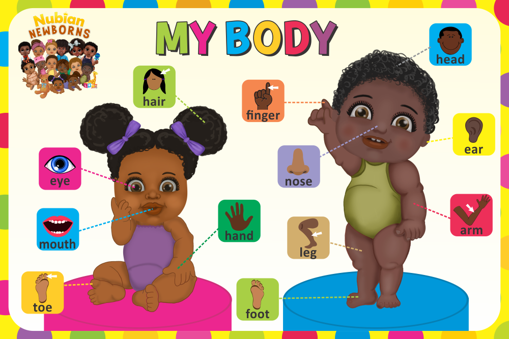6 PIECE EDUCATIONAL POSTER SET
