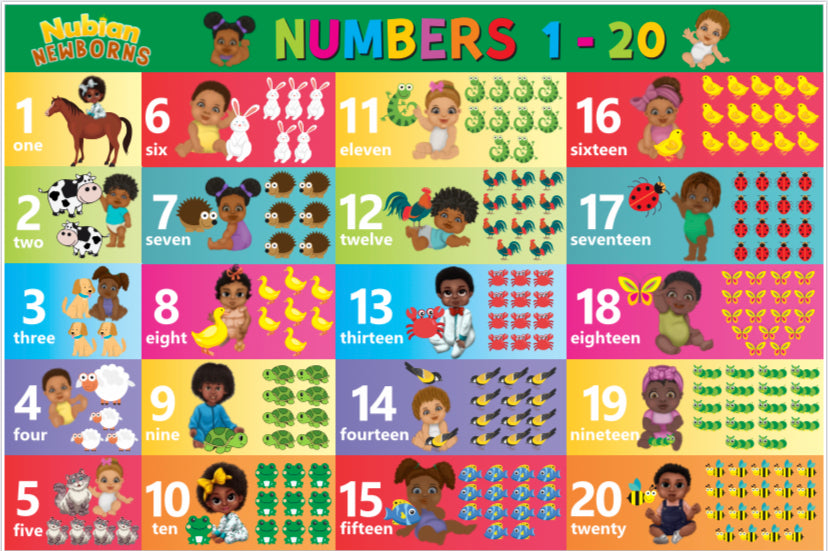 6 PIECE EDUCATIONAL POSTER SET