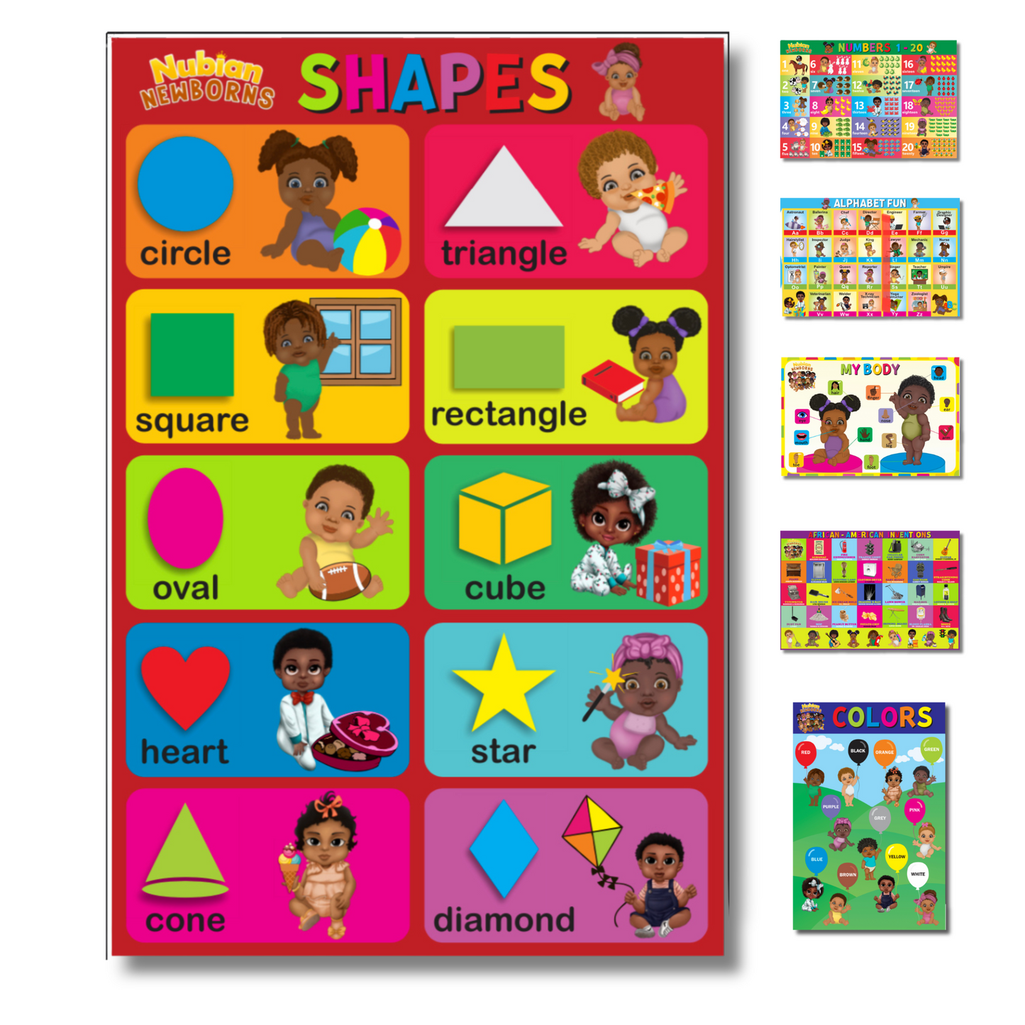 6 PIECE EDUCATIONAL POSTER SET