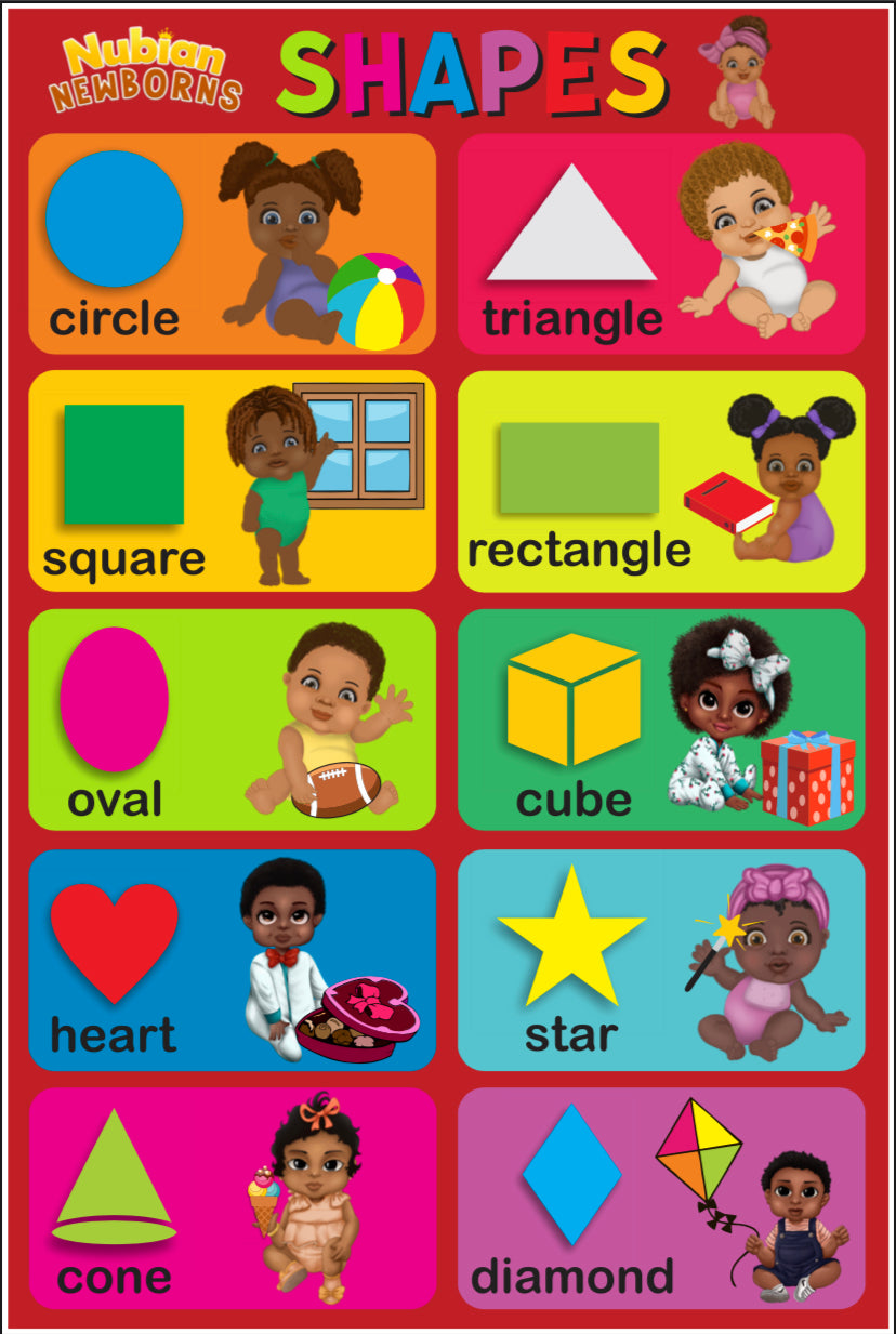 6 PIECE EDUCATIONAL POSTER SET